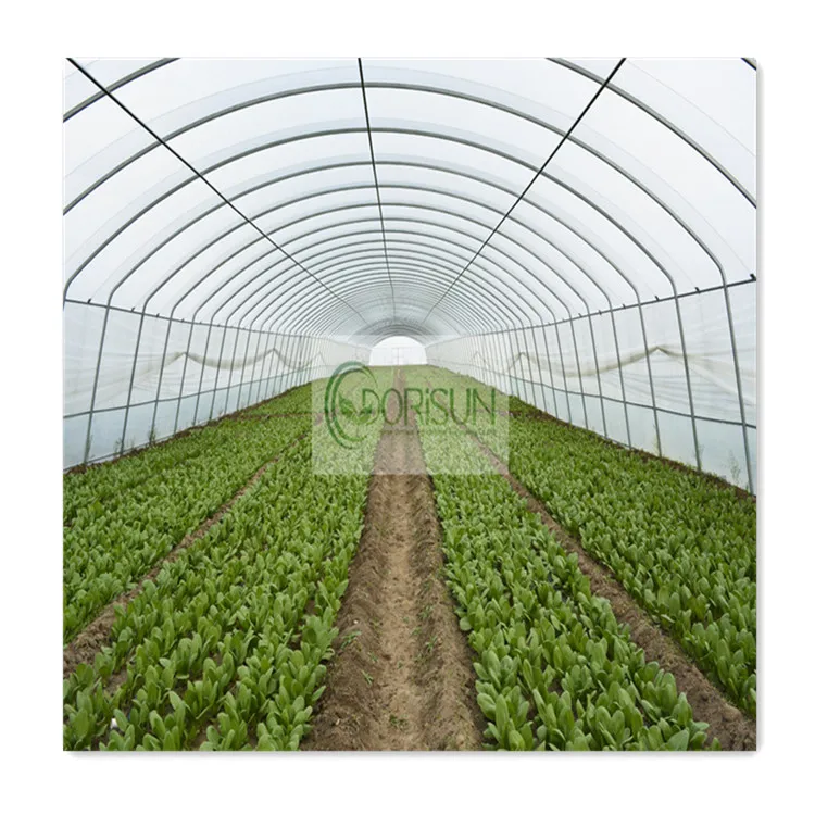 China complete hydrophonic modular garden greenhouse farming hydroponic tomato poly net passive greenhouse sale Pakistan
