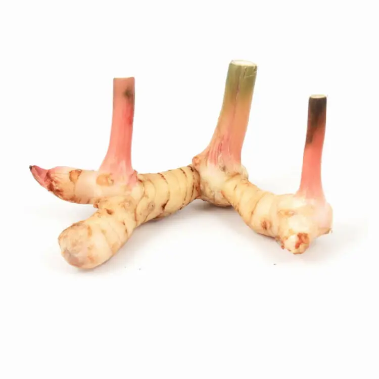 2021 новый урожай Galangal