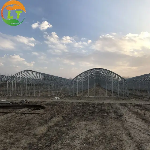 Прямая поставка с завода низкая цена полный комплект оцинкованного сельскохозяйственного оборудования для выращивания грибов