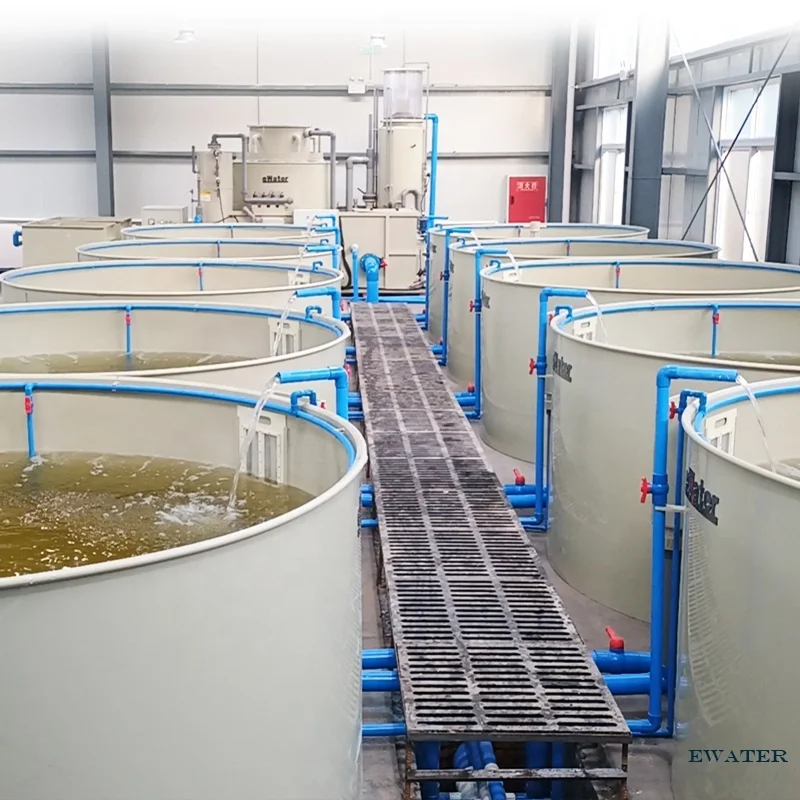 eWater Salt Water and Fresh Water Aquarium Fish Tank or Fish Pond For Above Ground Fish Farming System