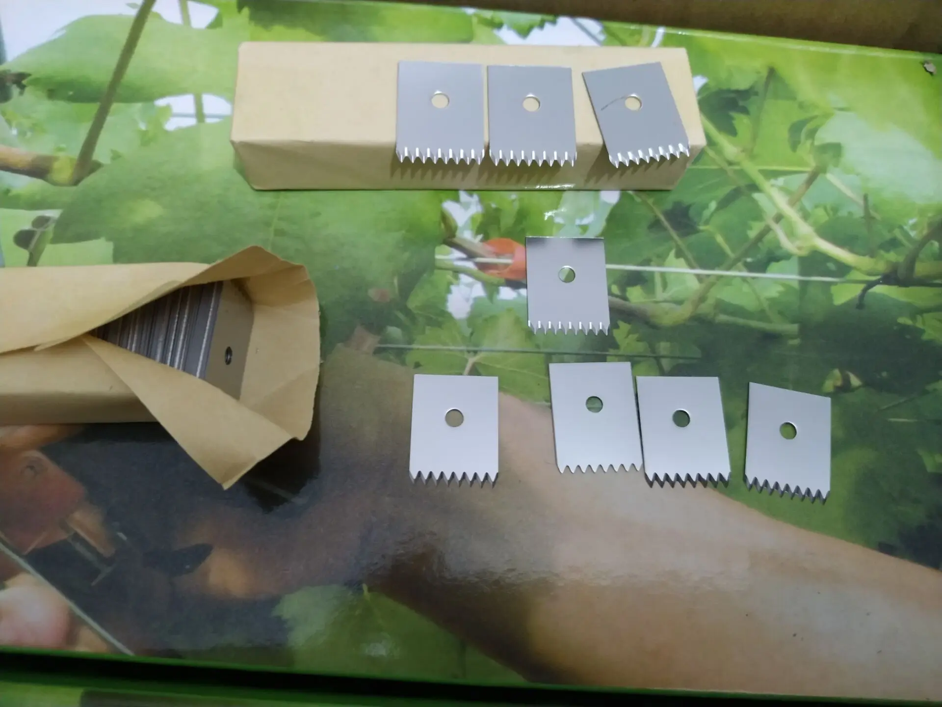 QQ20220709215601.jpg