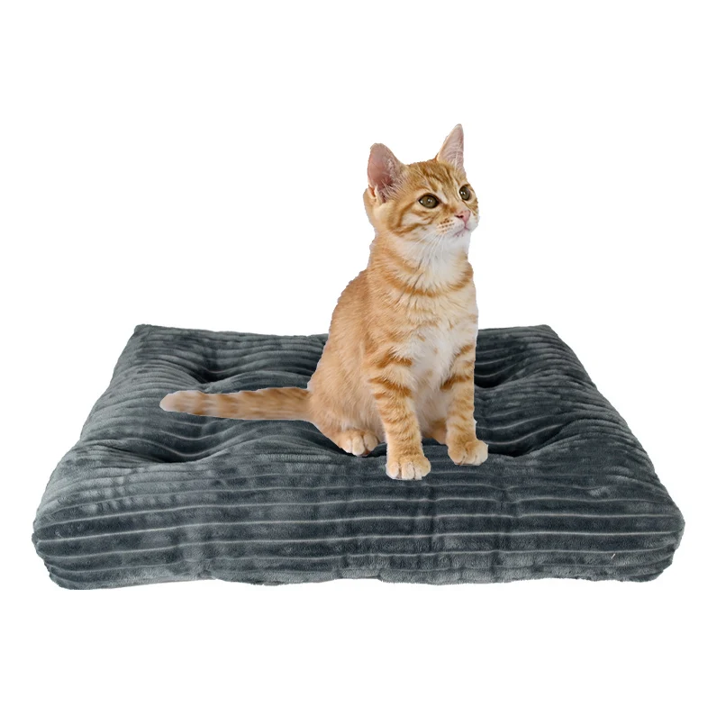 Good Price Flannel Natural High Quality Thick Pp Cotton Stylish Indoor Removable Pet Dog Bed Mat