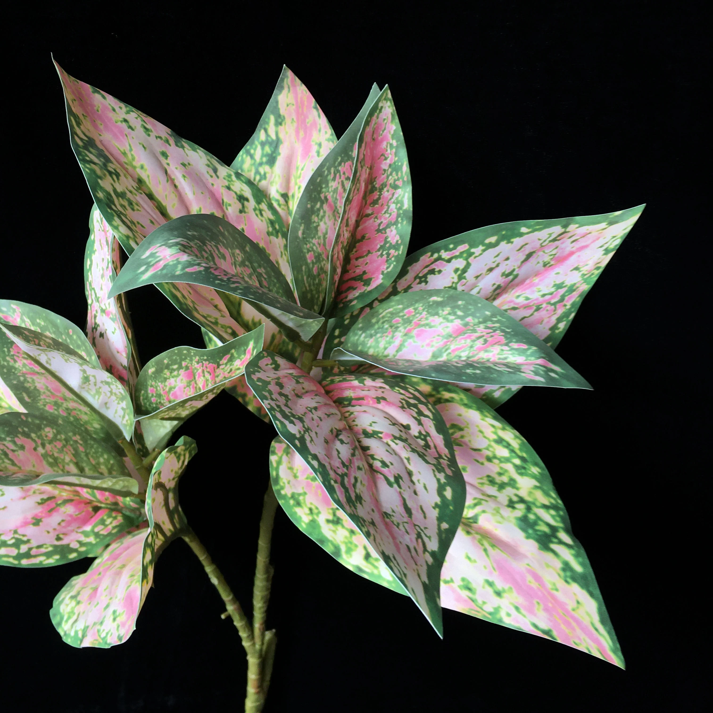 Long Stem Green Pink Plant Pictum Tricolor Houseplant Artificial Aglaonema Evergreen for Table Centerpiece Home Garden Shop Deco