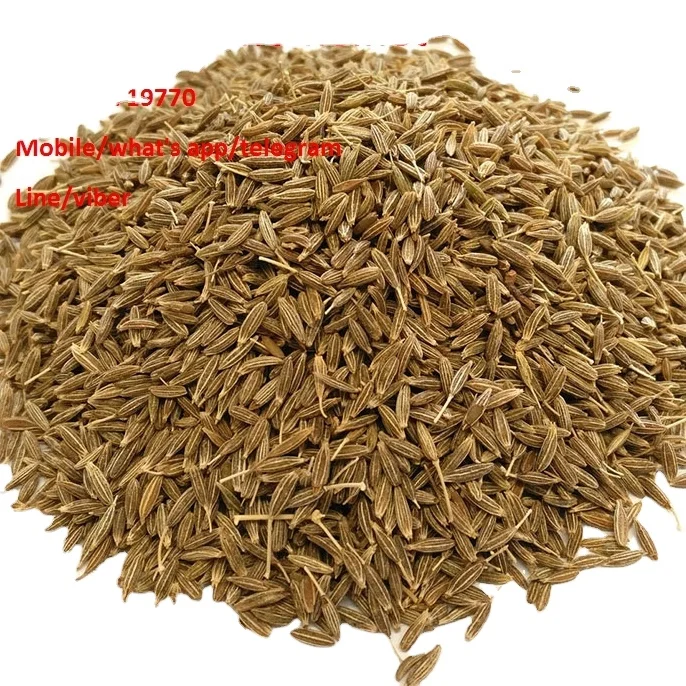 Cumin Seeds high quality Natural Egyptian Type best Grade and best price top grade ground/whole