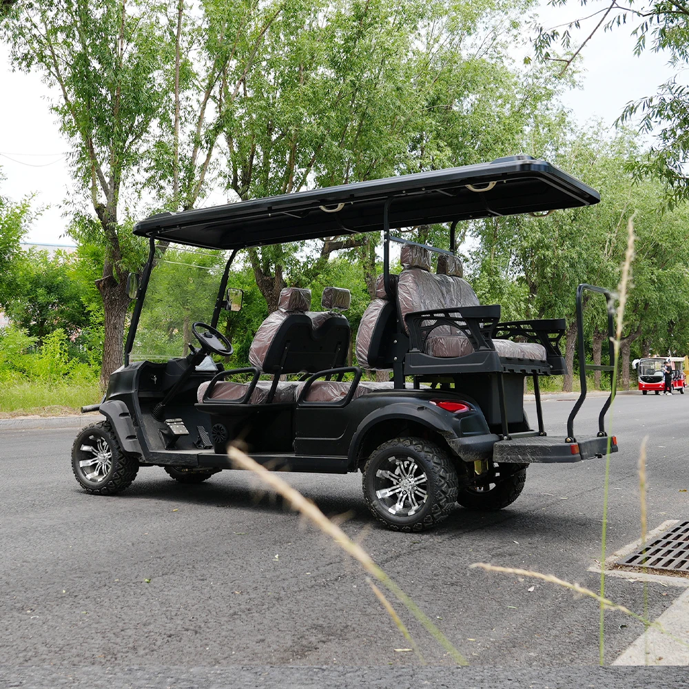 Professional Brand Electric Golf Buggy Cart with Meter High Quality Golf Carts