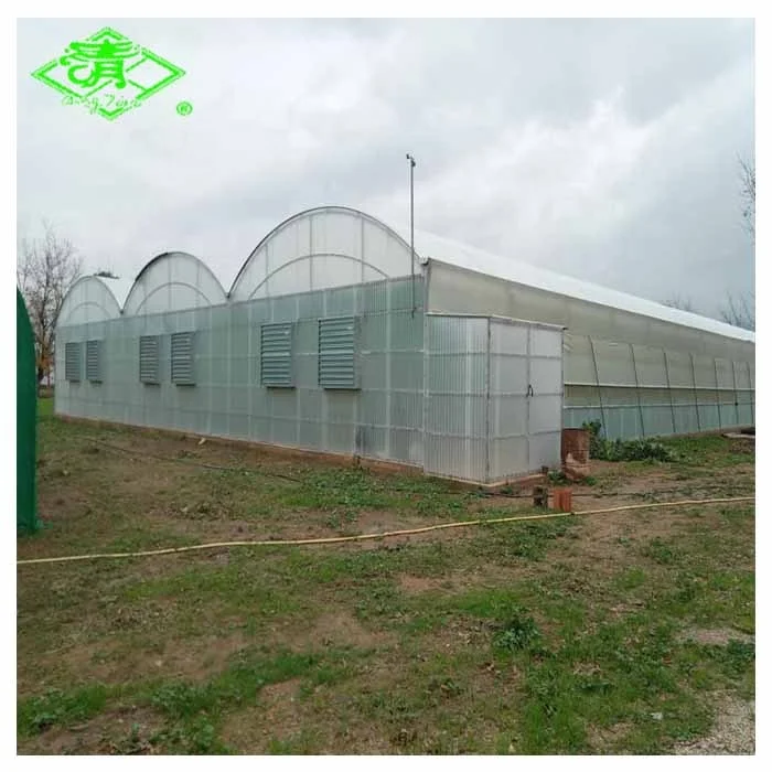 Plastic Farming Application UV Protection Multi-Function Greenhouse Film
