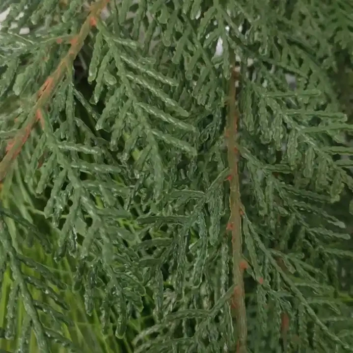 Artificial Green Pine Needle Pvc With Pine Coines Red Berries Xmas Garland For Door Wall Ornaments