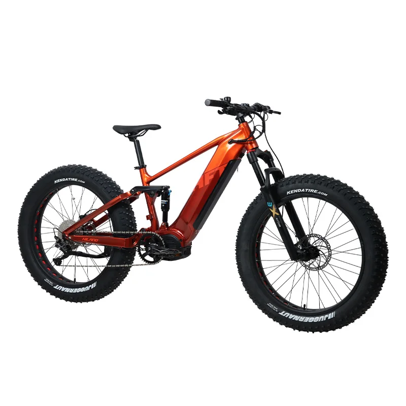 JOYKIE 48V 750W Mid Drive Motor Kit Mid Drive Electric Bike E bike for adult