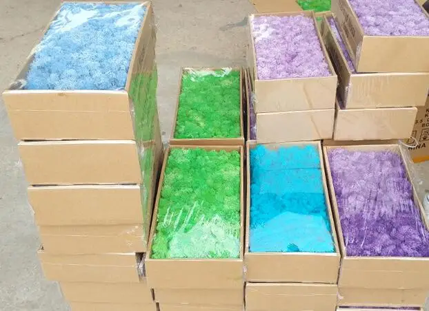 Reindeer Moss Wall Decoration Preserved Floral Decorative Moss Eternal Natural Preserved Moss