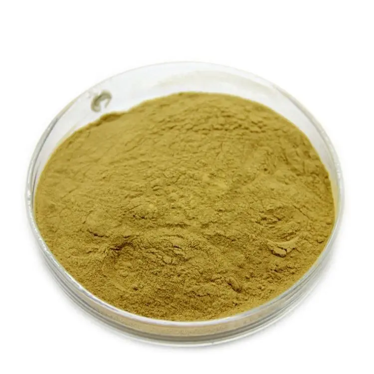 Высококачественный лиофилизированный порошок Fructus гиппофилы, порошок с экстрактом облепихи