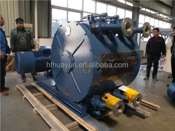 TWO HEAD Professional Good Quality Best price industrial hose pump