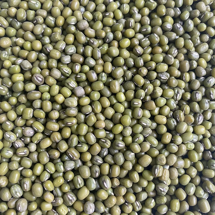 Wholesale High Quality Small Green Gram Vigna Bean Mung Beans In Bulk