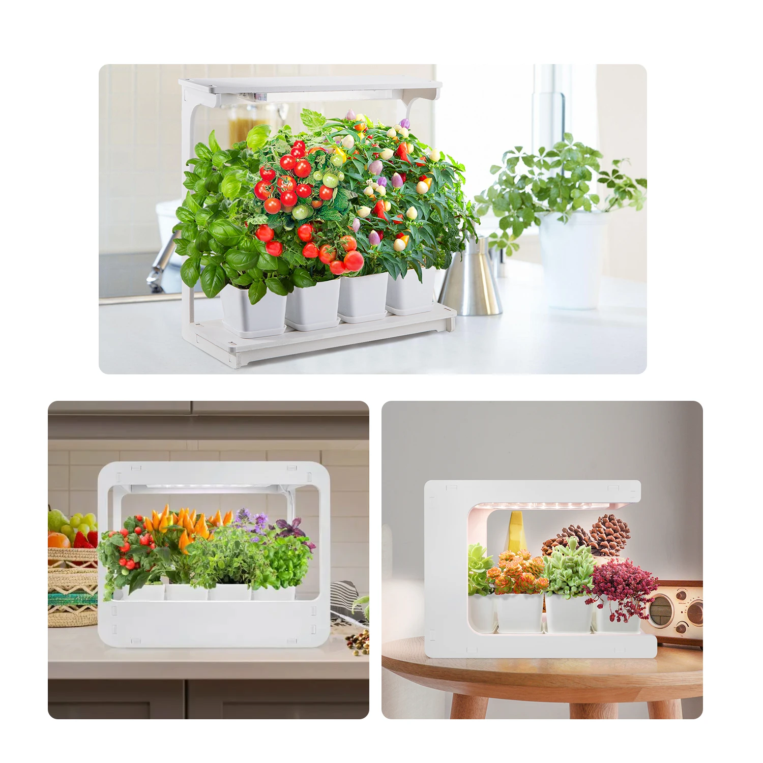 J&C Minigarden decorative indoor garden smart plant table grow light countertop grow lamp plant starter