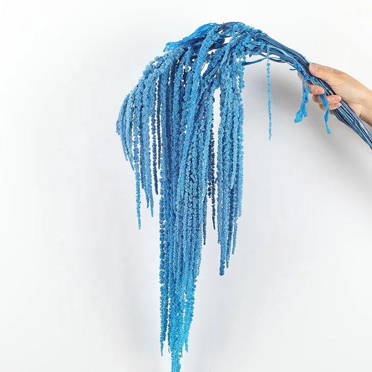 Hanging Rice Wholesale Lover Tears Roulisi Hanging Rice Long Spike For Wedding Hotel Decoration