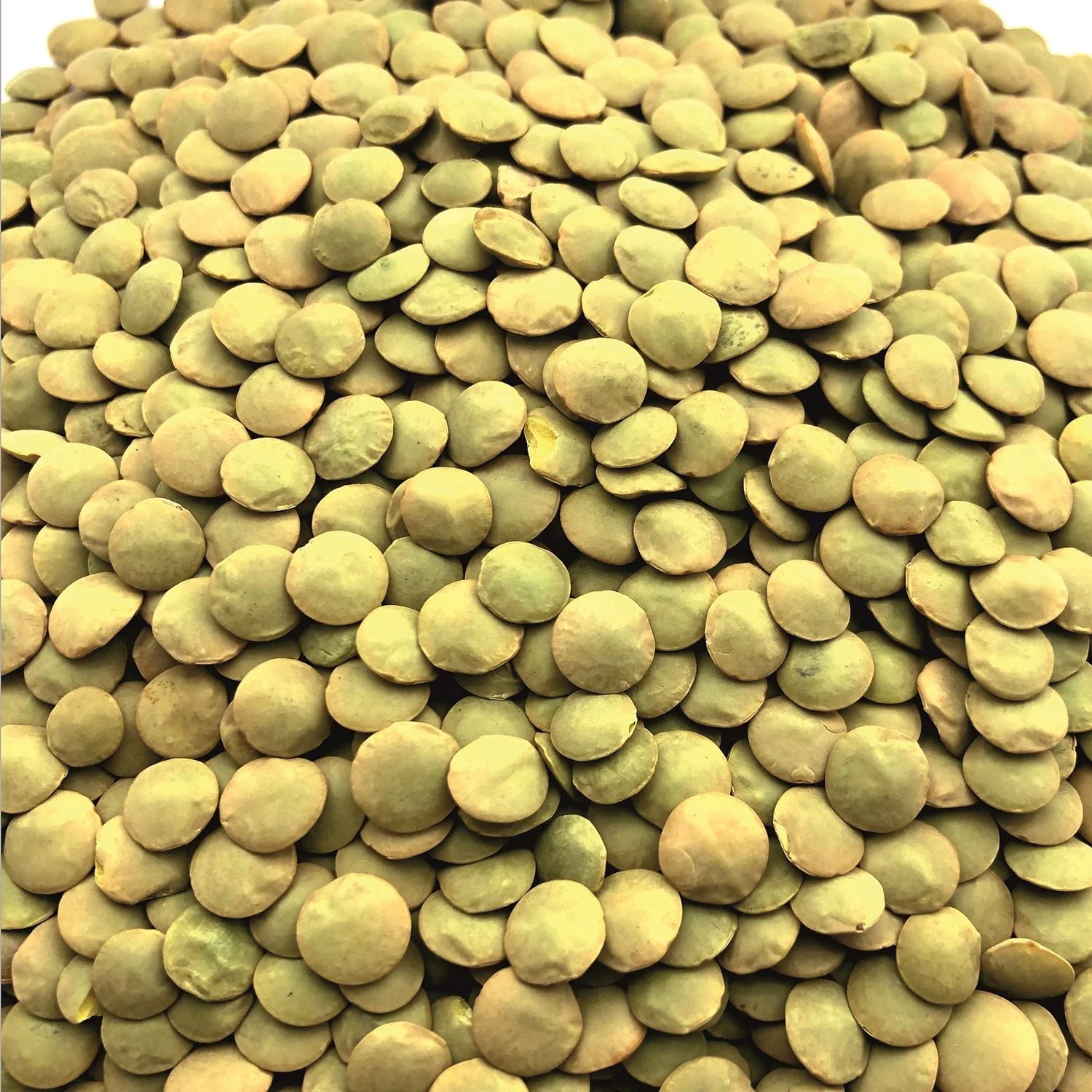 
Great quality whole lentils big bag, from manufacturer 