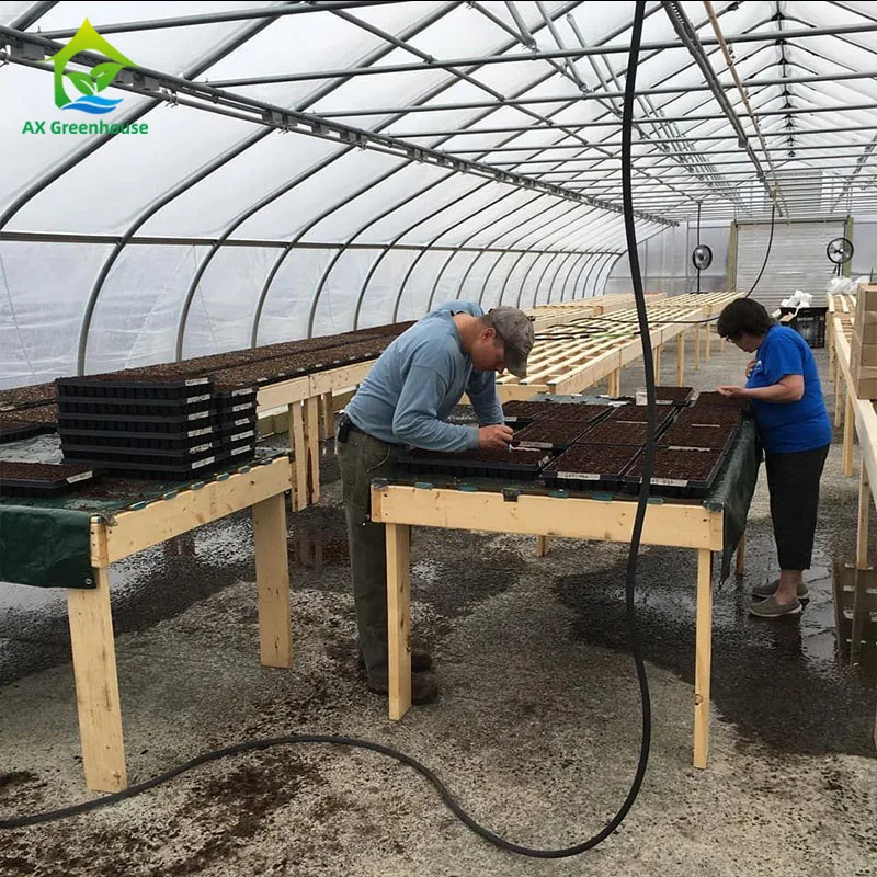 
Medical Plant Growing Fully Auto Blackout Shading Polycarbonate Greenhouse 