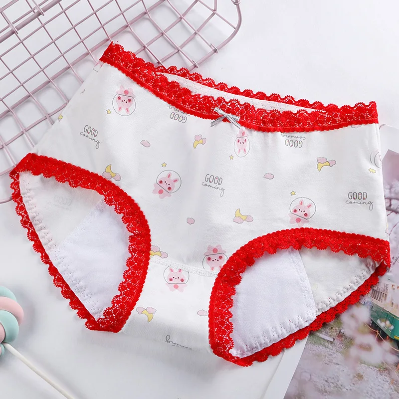 Manufacturers wholesale Womens Organic Cotton Period Leak Proof Plus size Underwear Protective Hipsters Menstrual Panties