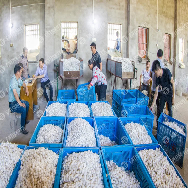 Hot Sale Silkworm Cocoon Dryer Machine Mesh Belt Drying Equipment Hot Product Energy Saving Customized