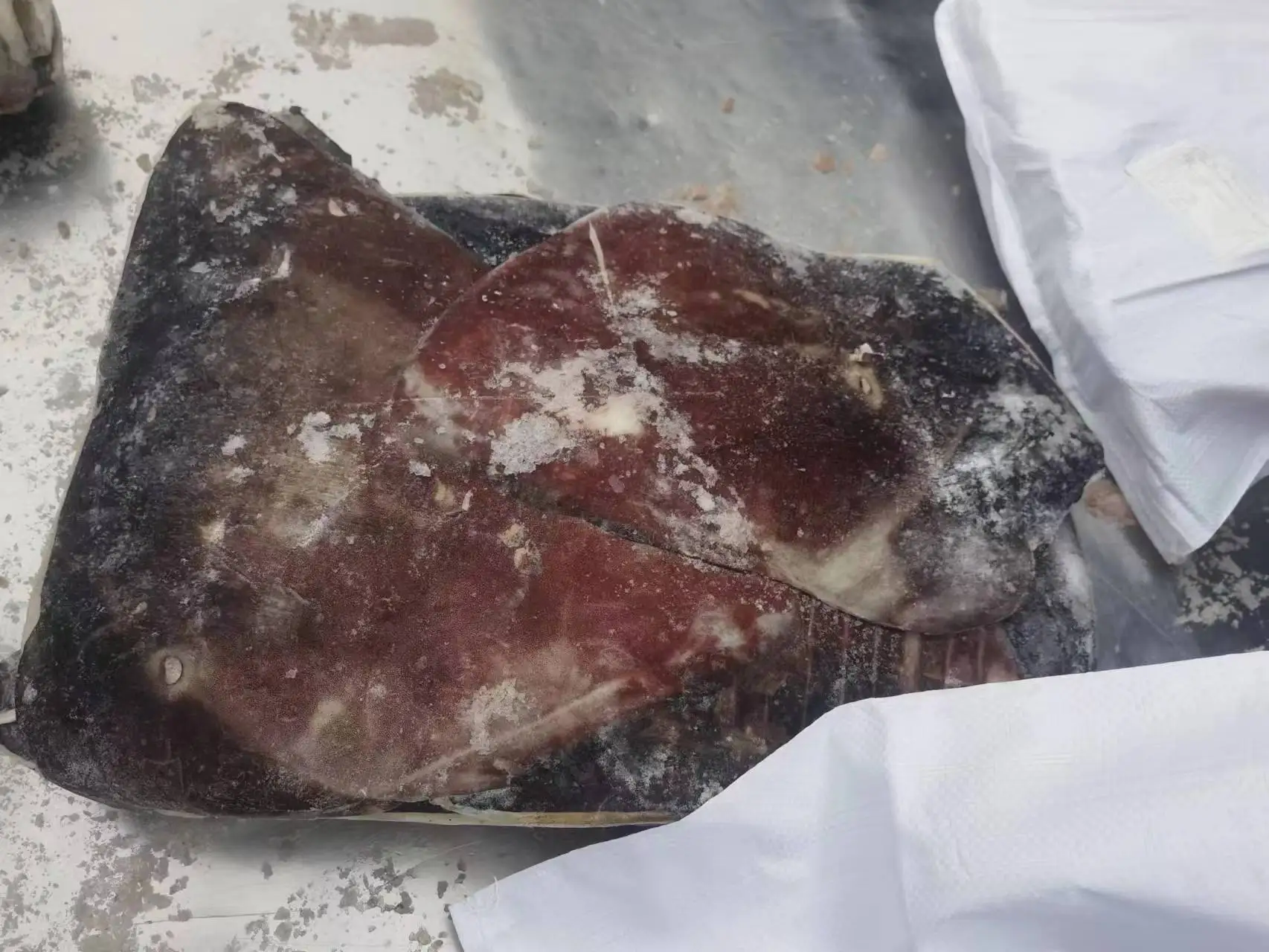 Frozen squid wing hot selling