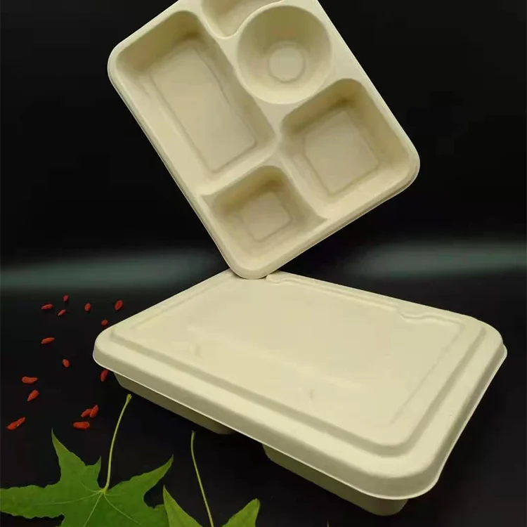 Food Grade Biodegradable Water Proof Sugarcane Bagasse Food Takeaway Container