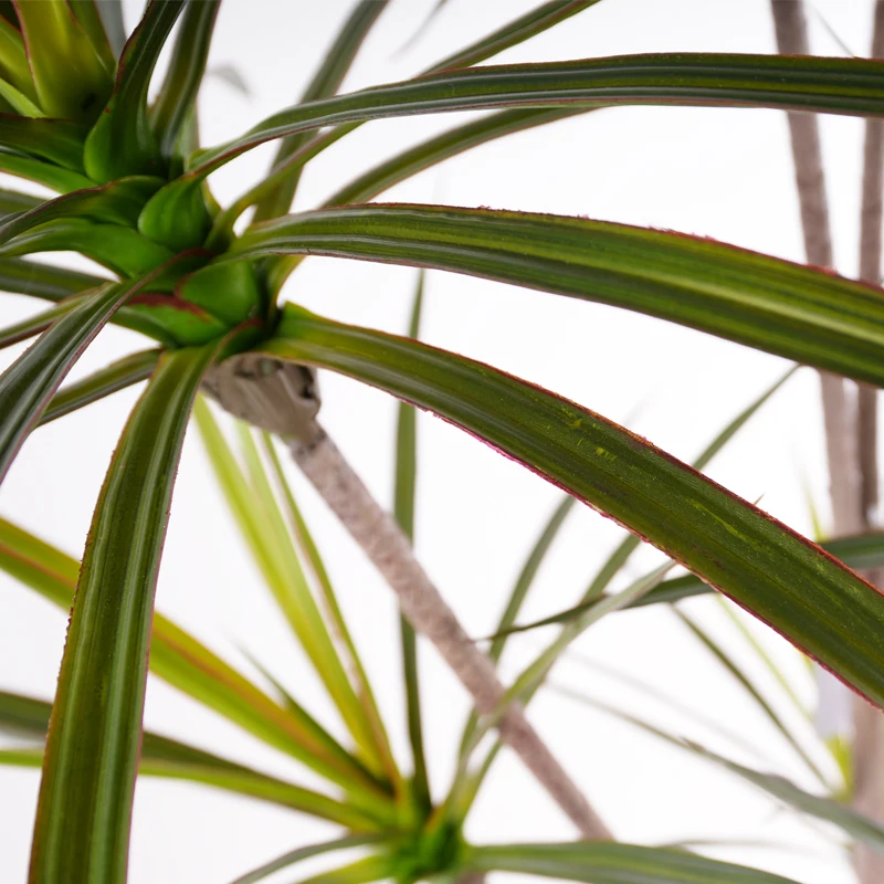 China factory 145cm/4.75ft/57in Artificial Plastic Dracaena Marginata Tree Elegant Plant tree Design for Indoor Outdoor Decor