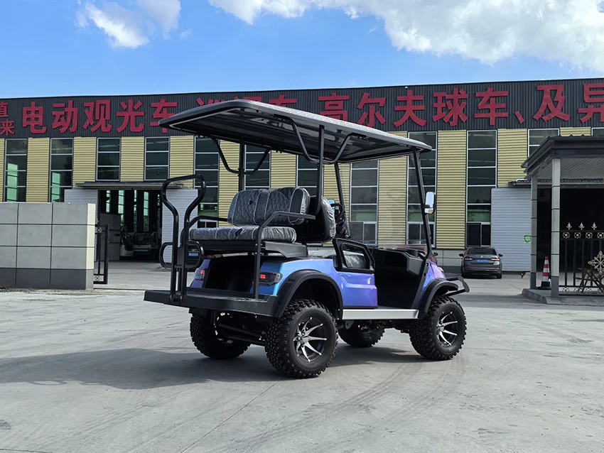 mini golf car Factory Sales electric golf car luxury golf car