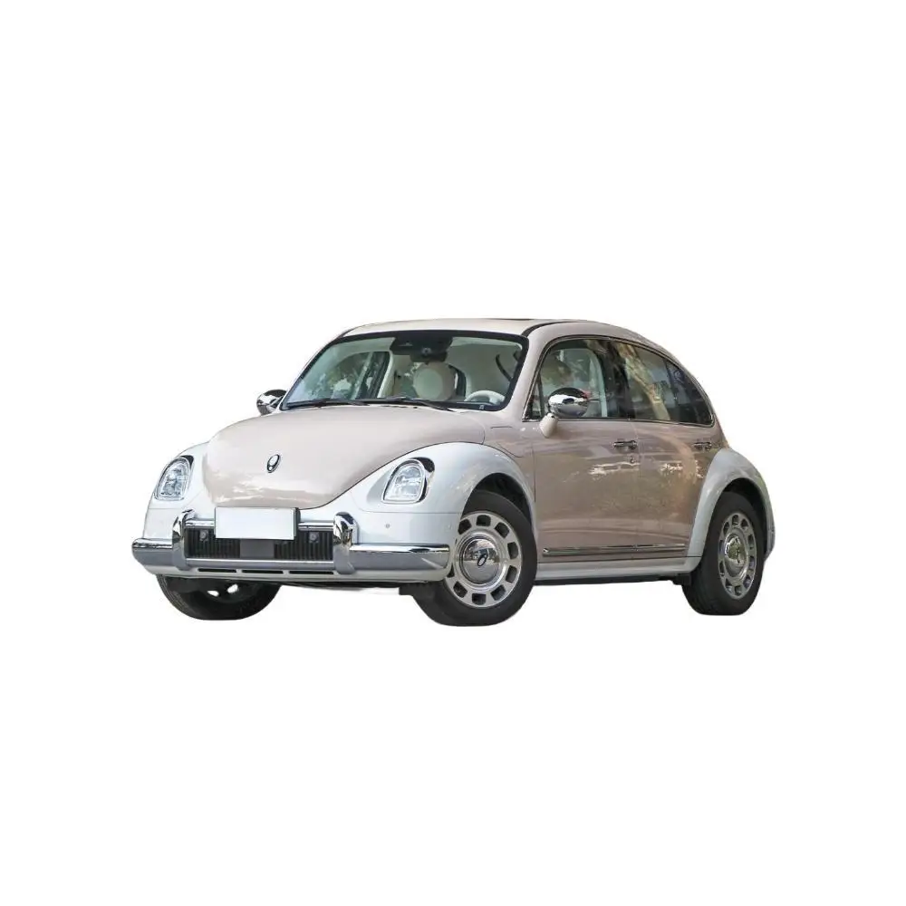 Good price China agent procurement New Energy Vehicles New Ora allet energy efficient luxury car mini ev