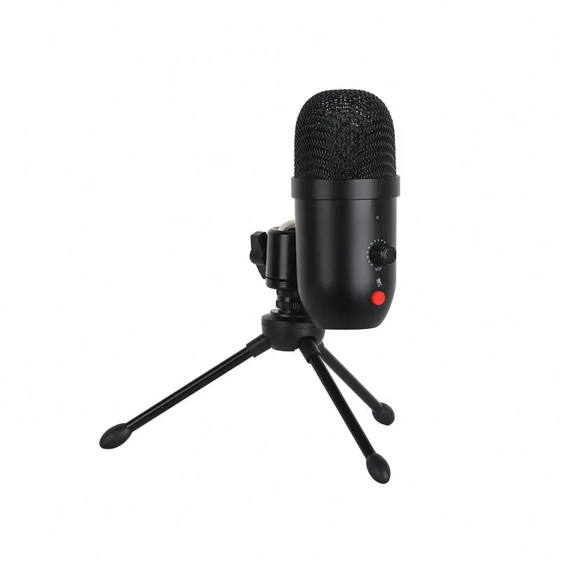 Low Price Chargeable Wall Mount Heavy Duty Microphone Stand