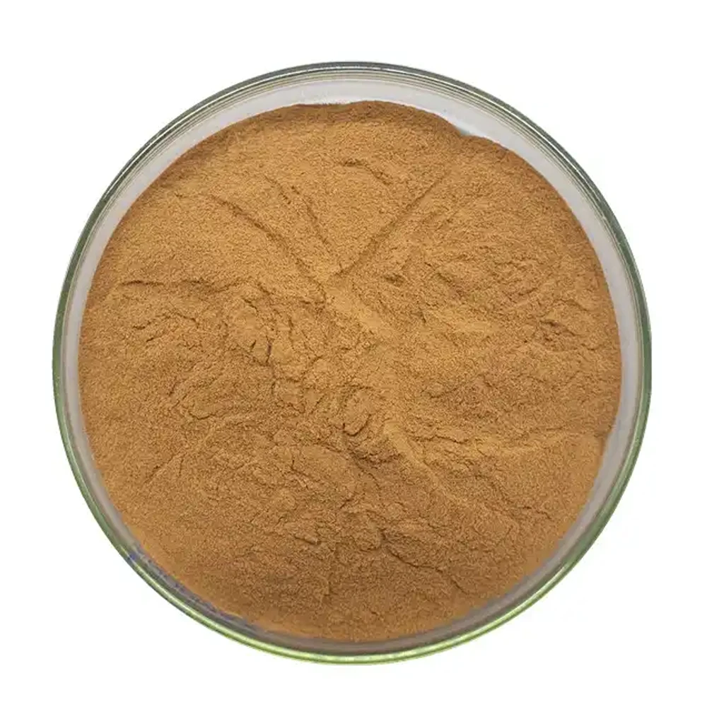 Natural Polysaccharide 30% Enoki Mushroom Extract