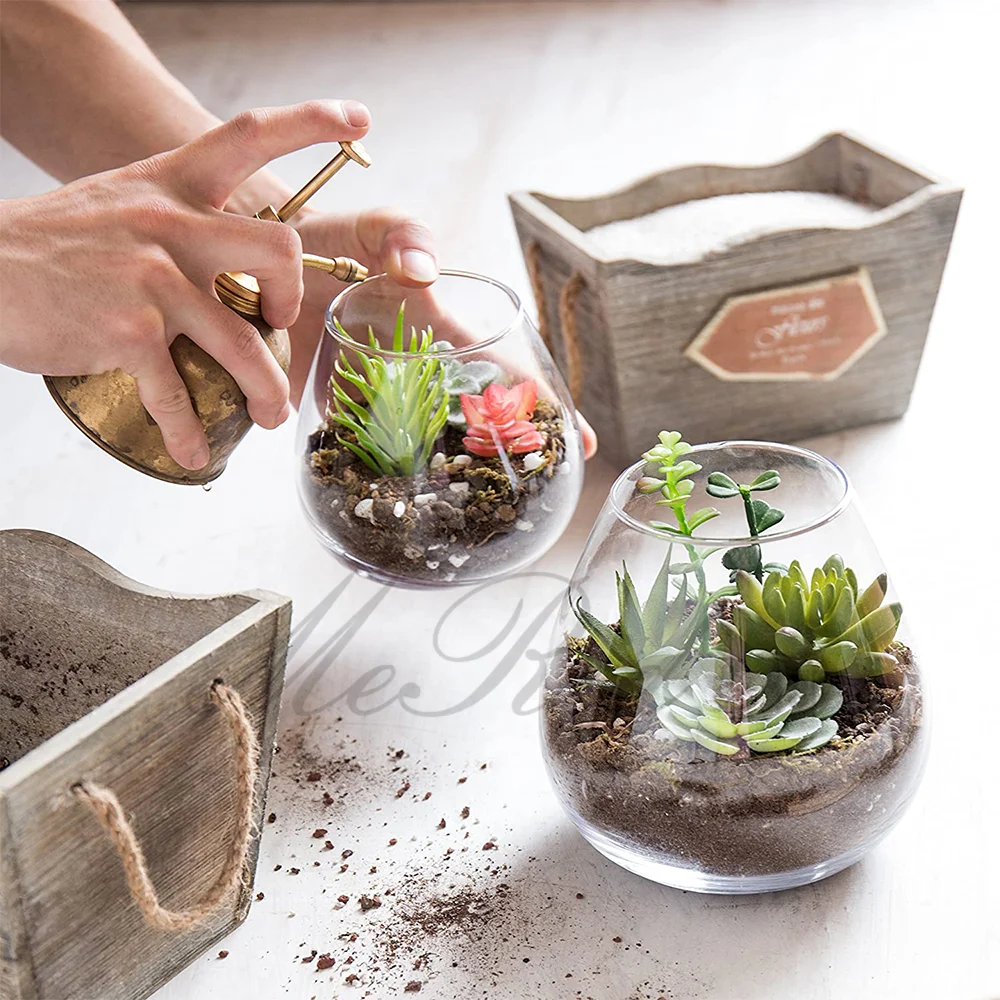 Round Glass Plant Tabletop Terrarium Succulent Air Plant Planter Fish Bowl Eco-friendly