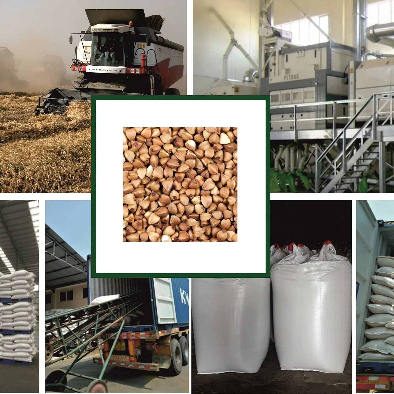 High quality buckwheat groats custom package design available, from manufacturer