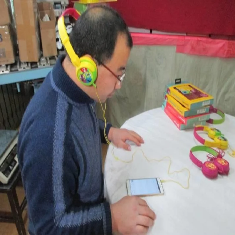 Earphones guangdong quality control service/inspection service*product test