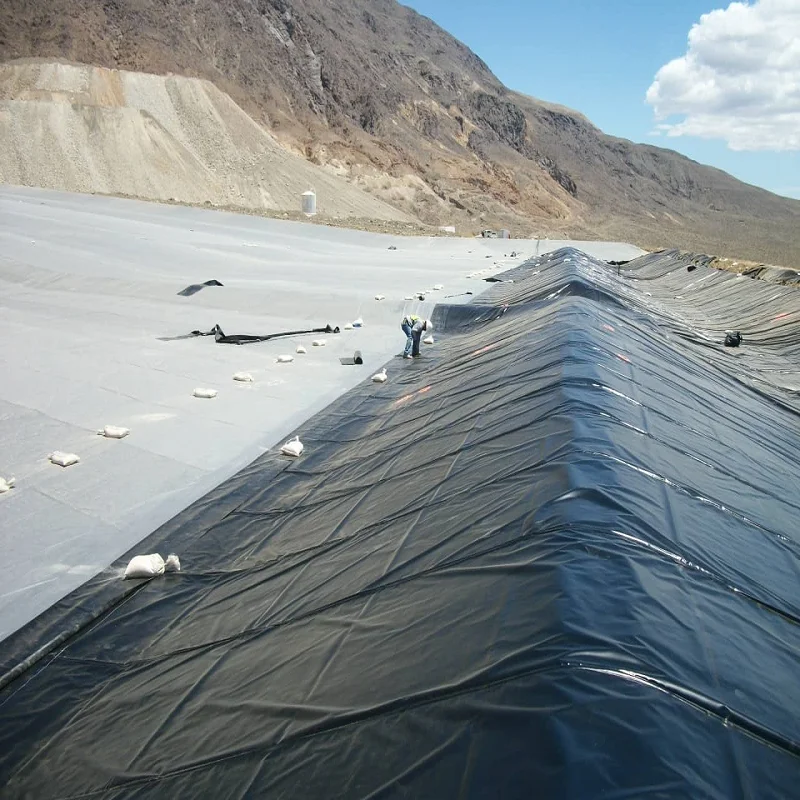 Geomembranes GM13 ASTM 0.5mm 0.75mm 1mm HDPE pond liner hdpe geomembrane sheet for fish pond farm tank