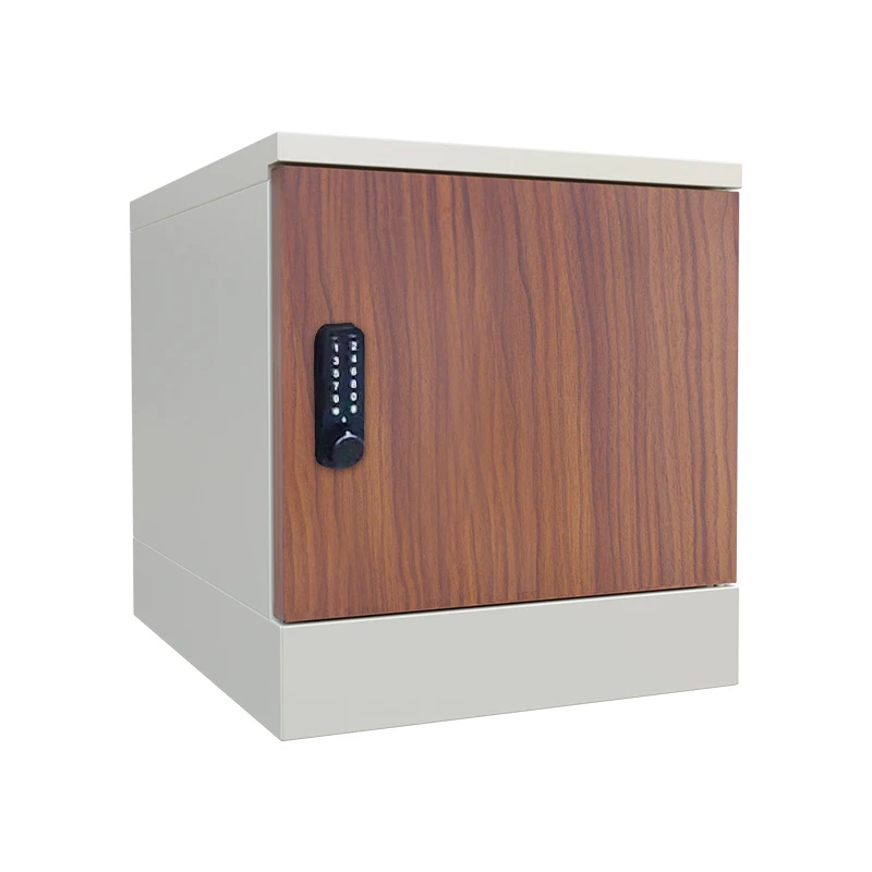 Headleader Smart Metal Locker Assembled Staff passcode fingerprint NFC Locker School Hospital Gym Luxury Locker