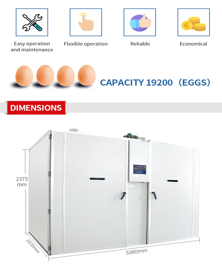 19200 Pcs Eggs Full Automatic Hatchery Setter Incubators Poultry Farming Solar Energy Hatchery Machine For Duck Chicken Goose