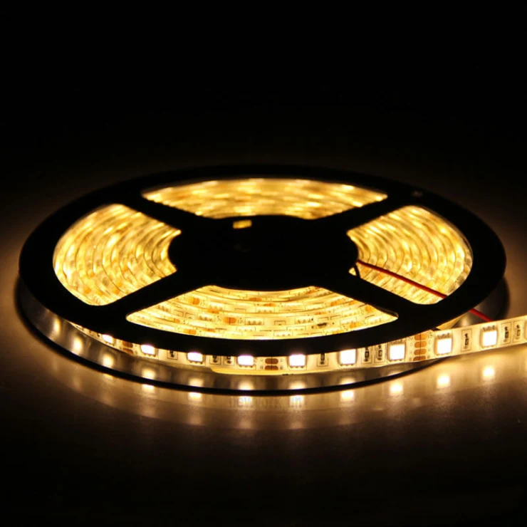 5m IP65 5050 smd 12v 24v outdoor flexible 5 meters white waterproof led strip light