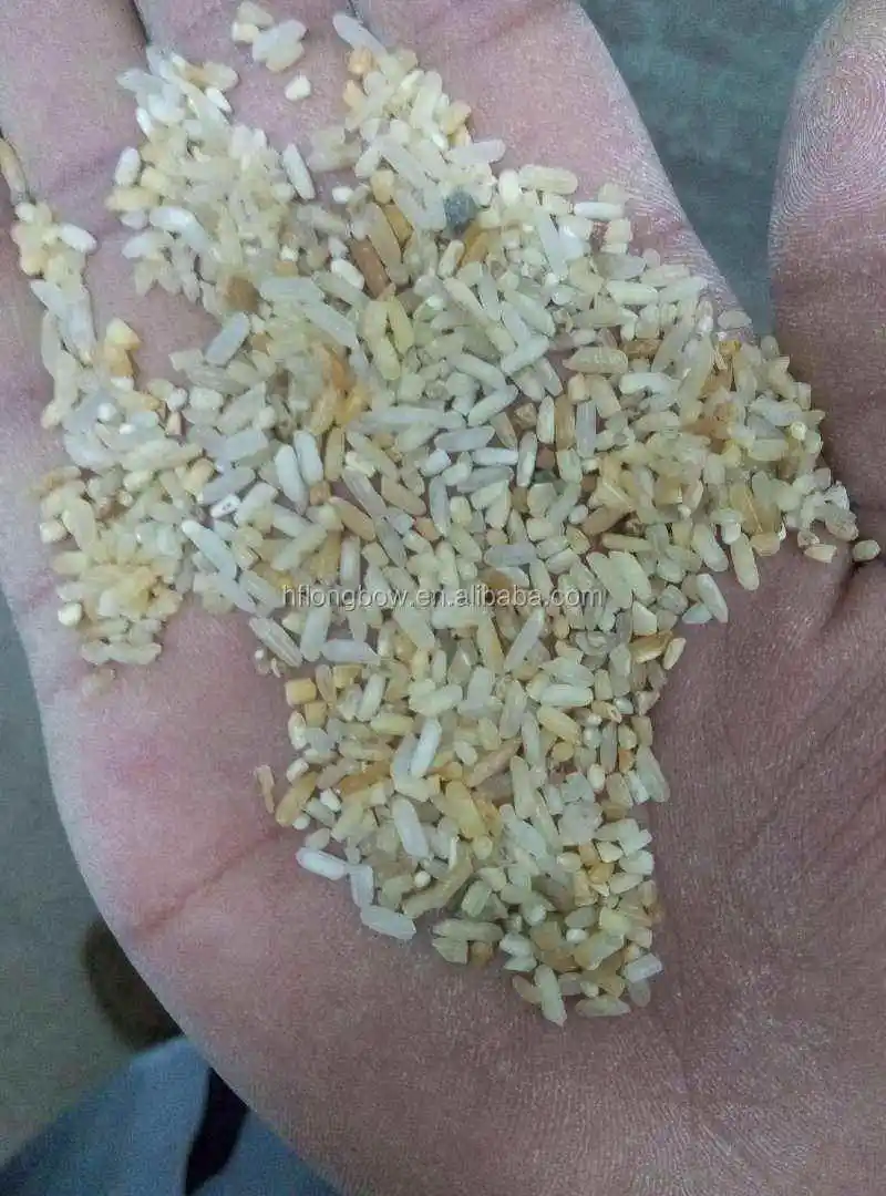 Professional High Technology Small Rice Sorter Machine Corn Wheat Grain Beans Color Sorter Coffee Bean Color Selector