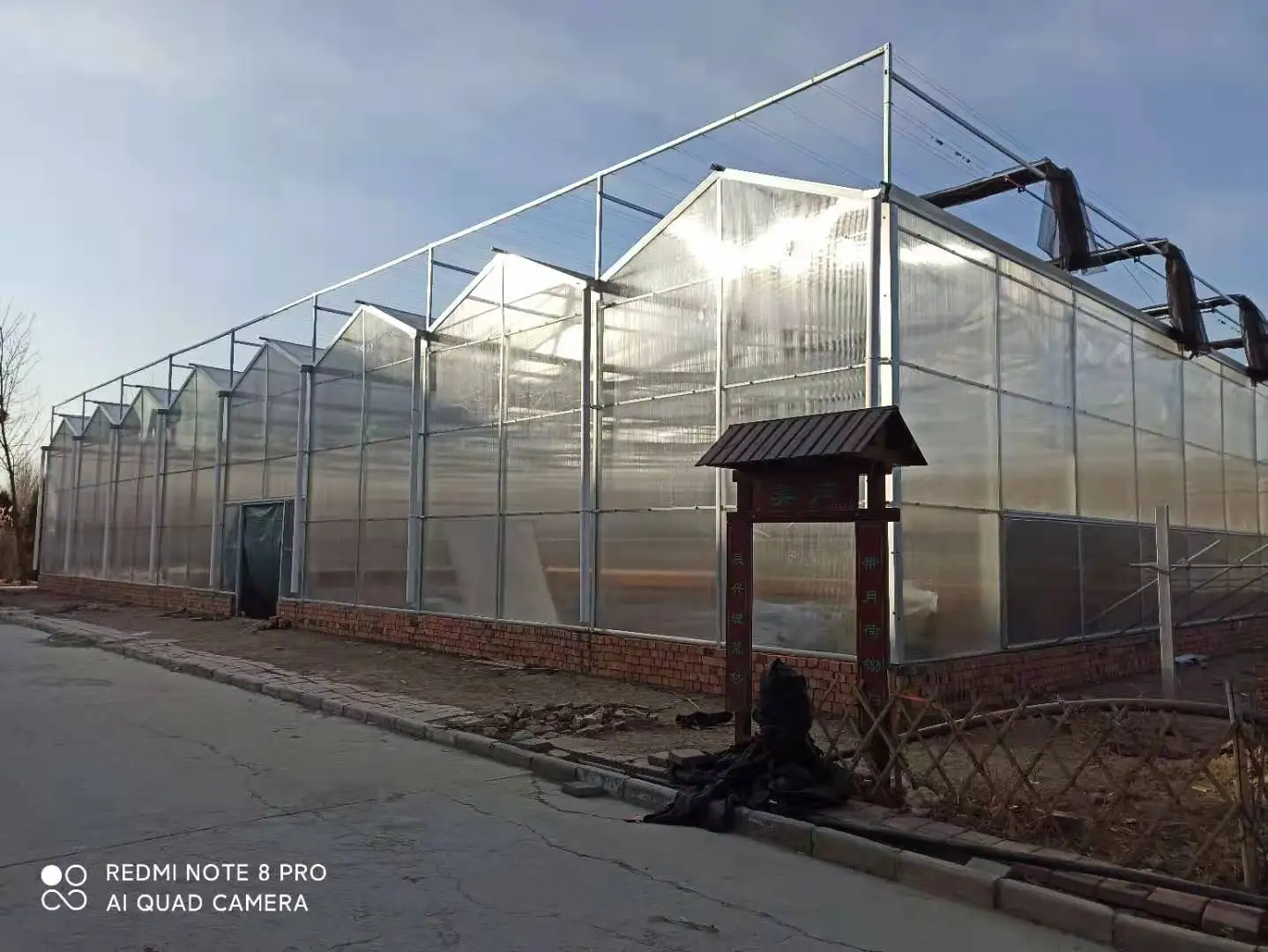 Agricultural Greenhouse from china greenhouse factory