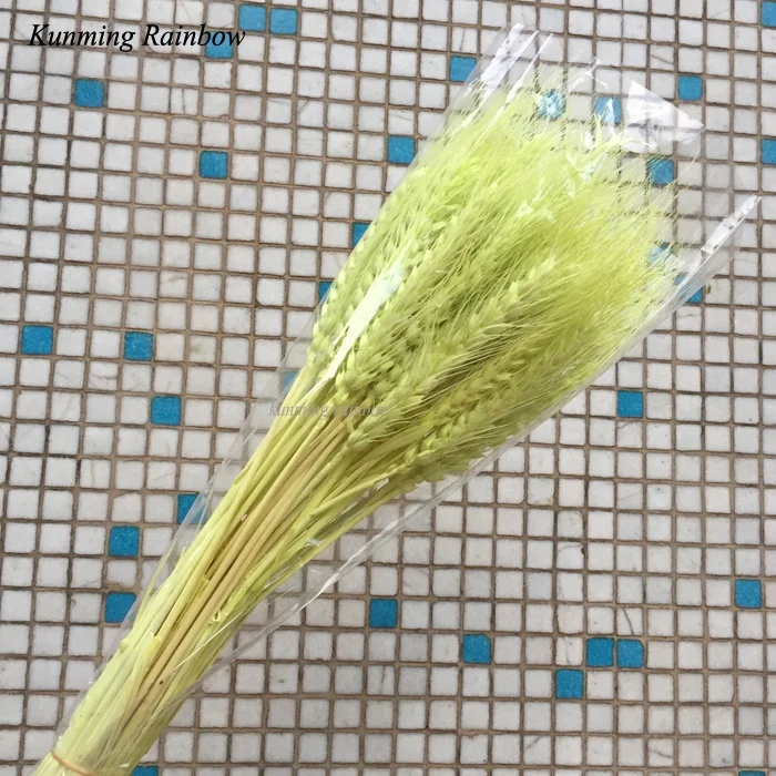 Hot Sale Home Decoration Natural Craft Dried Flowers Multi-colored Real Dried Flowers Wheat