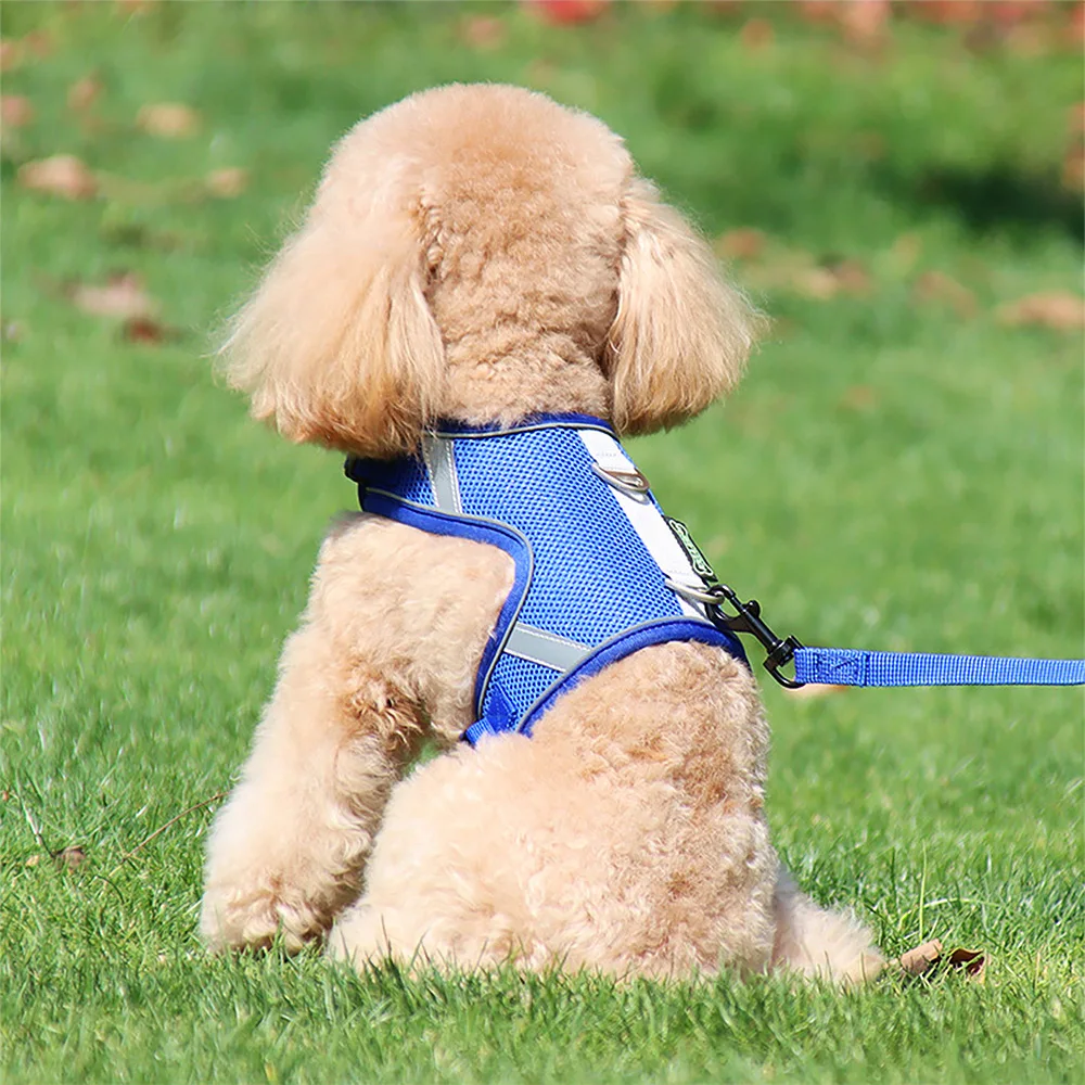 Wholesale Reflective Dog Harnesses  Adjustable Breathable Sport Harness with Handle