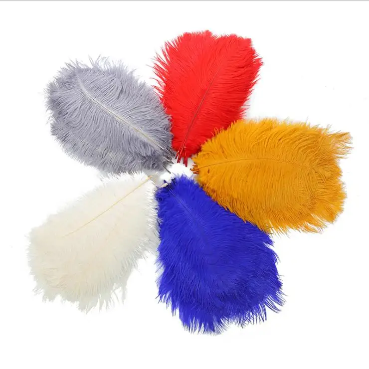 RT148 Bleached Dyed olored Decoration Ostrich Feathers