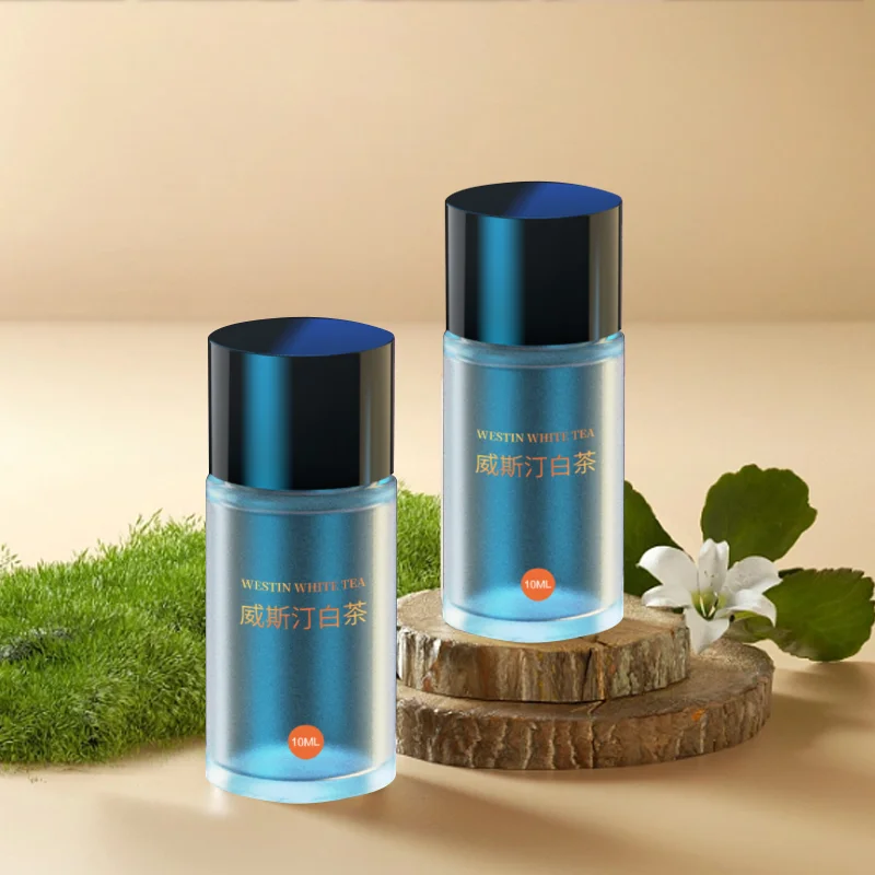 Wholesale Aromatic Nebulizer Essential Oil Diffuser,Electric Waterless Car Aroma Scent Diffuser Machine