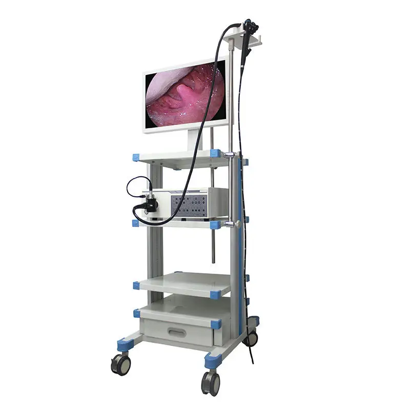 IN-PV9000 Professional Instrument Vet Medical Endoscope Portable Gastroscope Colonoscope For Veterinary Hospital