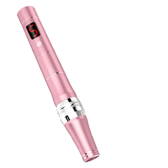 
Hot Sale Custom Medical Grade 3D Microneedling Dermapen Hair Growth Daily Use Derma Pen 