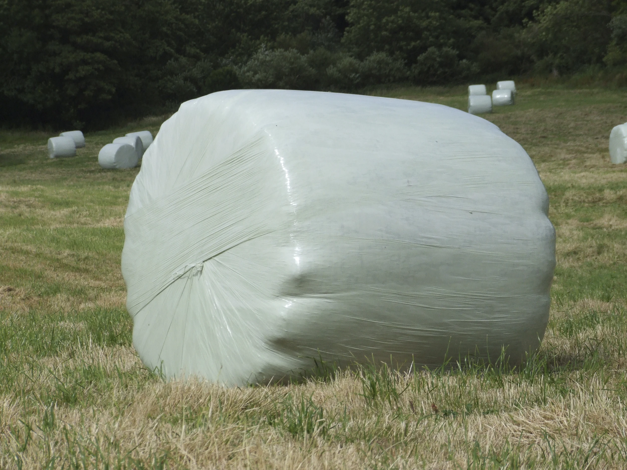 HDPE Agricultural Packing Round Silage/Grass Hay Bale Net Wrap