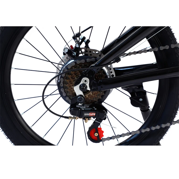 folding bike18.jpg