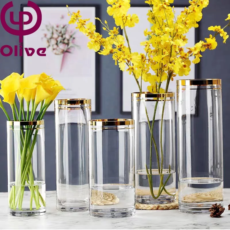 Smart reusable Eco-friendly water nourishing decorative cylindrical thickened grinding hand gold rimmed straight glass vase