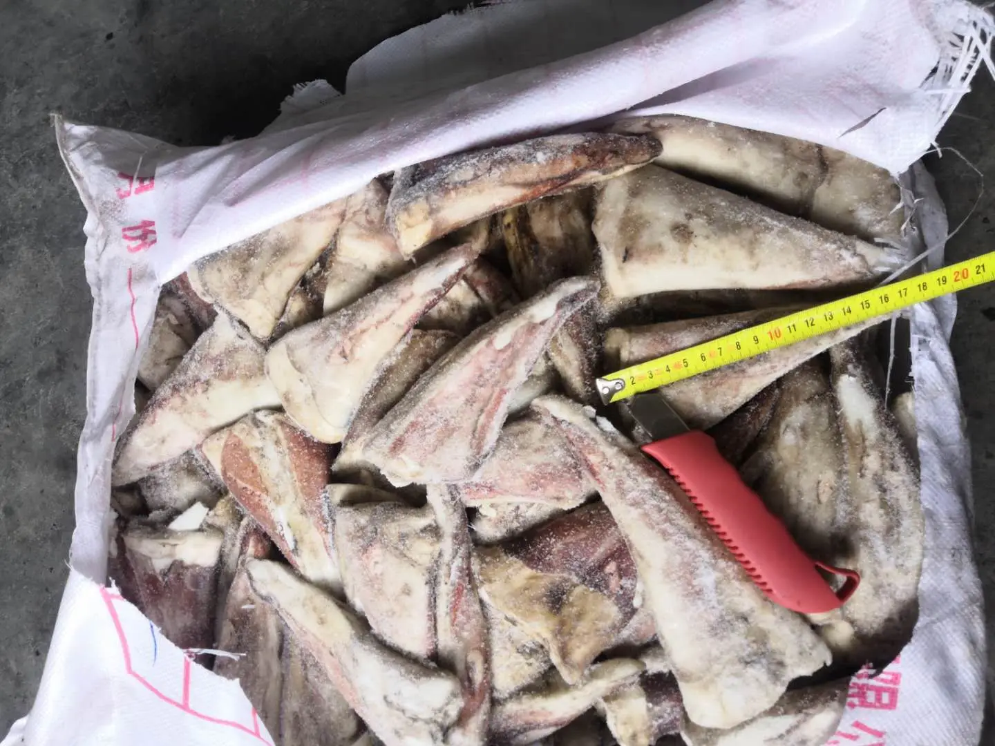 Frozen Giant Squid Tip  tail squid ink powder thailand market