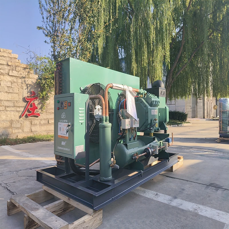 Оригинальный новый компрессор Bitzer с воздушным охлаждением низкотемпературная холодильная Конденсационная установка