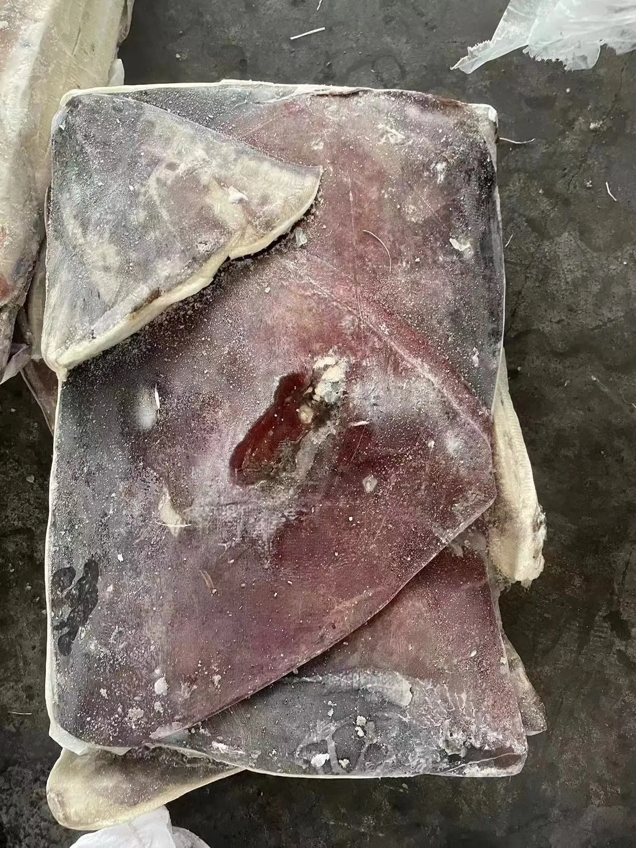 Peru squid dosidicus gigas  wings With skin  dosidicus gigas wings Peru Squid wings with skin Skin on